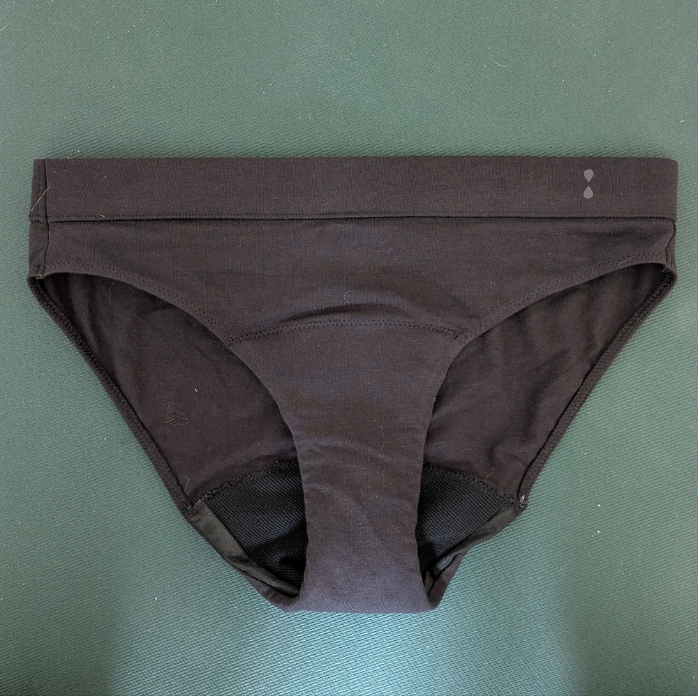 Thinx Everyday Comfort Bikini